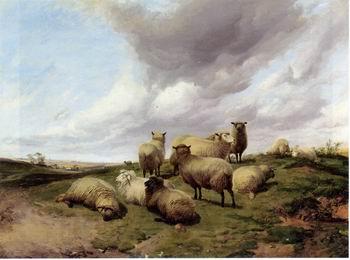 unknow artist Sheep 146 Germany oil painting art